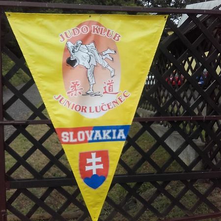 Turistická ubytovňa Hotel Divín Esterno foto