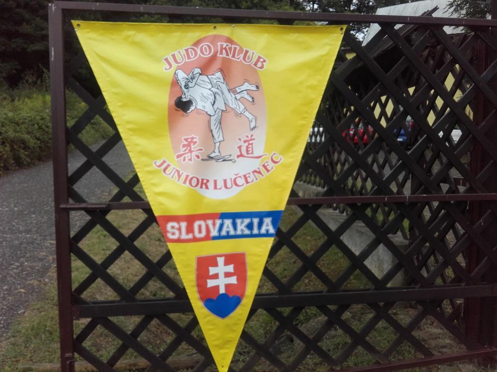 Turistická ubytovňa Hotel Divín Esterno foto