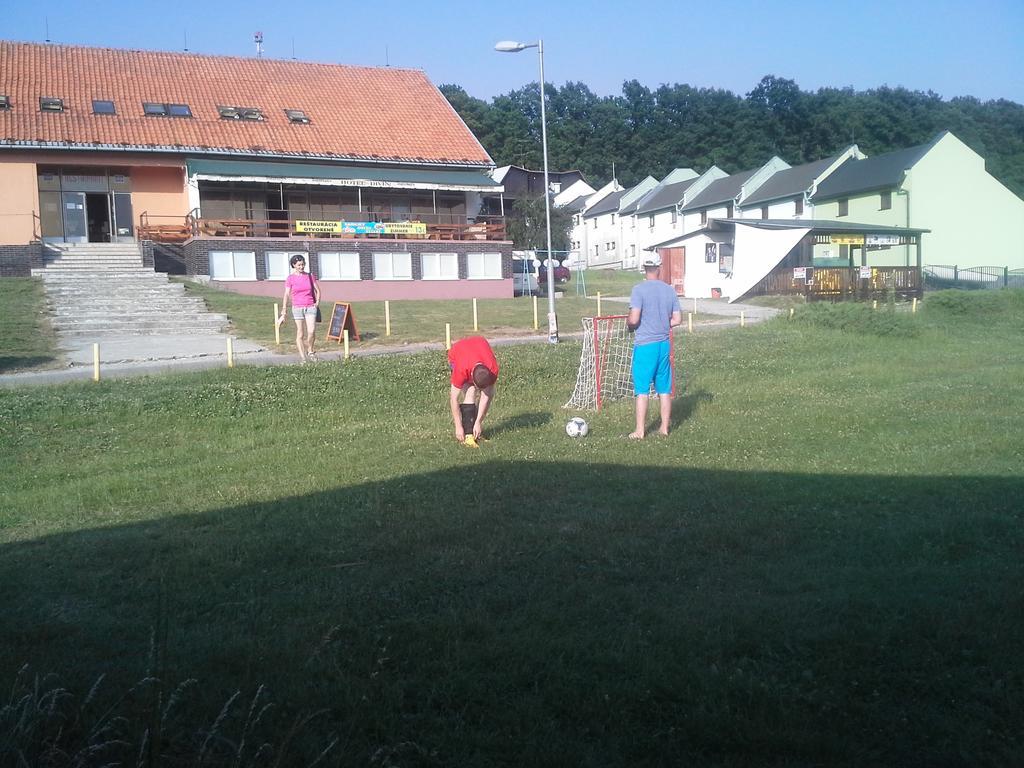 Turistická ubytovňa Hotel Divín Esterno foto